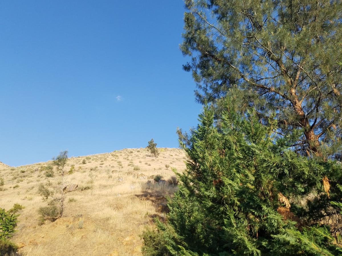 Sacred Mtn River Suites Kernville Bagian luar foto